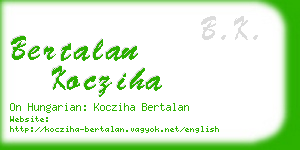 bertalan kocziha business card